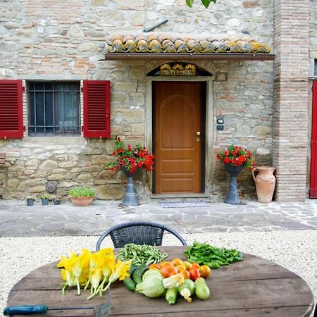 Casa Donella B&B Gricignano Экстерьер фото
